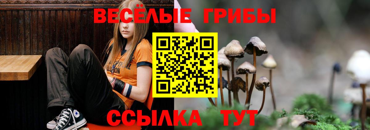 Камышлов  Псилоцибиновые грибы мицелий  Вход с VPN  Галлюциногенные грибы Magic Shrooms 