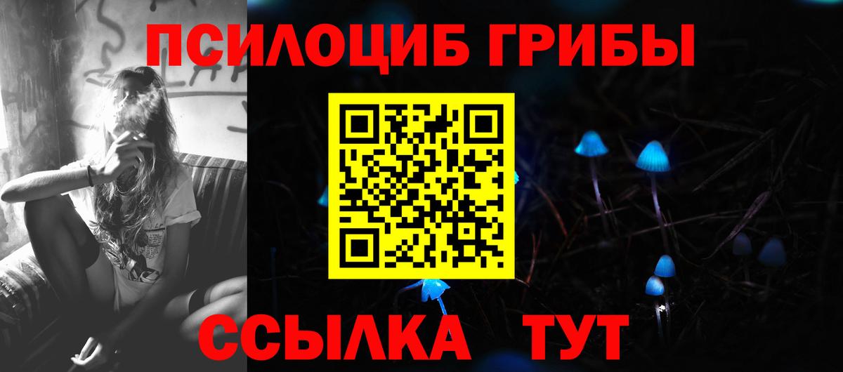 Галлюциногенные грибы мухоморы Камышлов